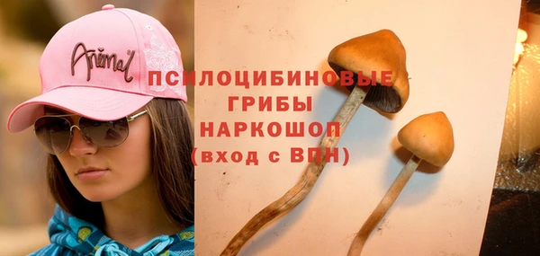 мдма Горняк