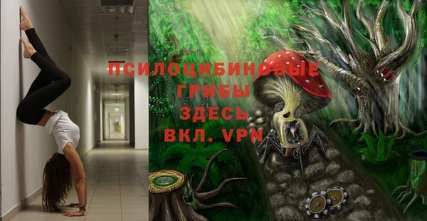 MESCALINE Горно-Алтайск