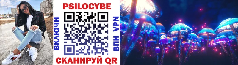 Купить где Руза Псилоцибиновые грибы мицелий